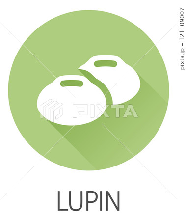 Lupin Bean Legume Food Icon Concept 121109007