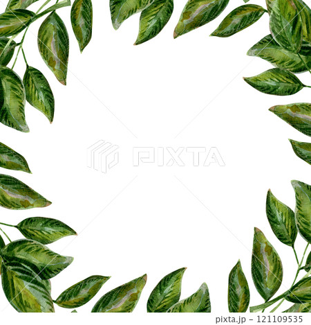 Green leaves and foliage form a nature-inspired frame. Botanical elements create a decorative border. A vibrant design perfect for eco-themed projects Green leaves and foliage form a nature-inspired frame. Botanical elements create a decorative border. A vibrant design perfect for eco-themed projects 121109535