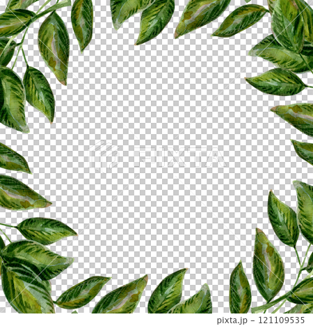 Green leaves and foliage form a nature-inspired frame. Botanical elements create a decorative border. A vibrant design perfect for eco-themed projects Green leaves and foliage form a nature-inspired frame. Botanical elements create a decorative border. A vibrant design perfect for eco-themed projects 121109535