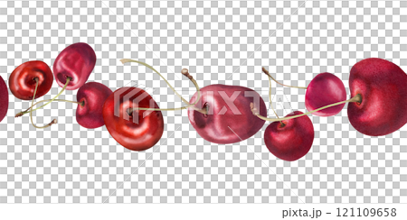 Sweet sour red cherry berries on stems, hand drawn in watercolor, scattered ripe drupes. Seamless banner garland illustration isolated on white. Restaurant, cafe dessert menu, wedding, farmers market 121109658