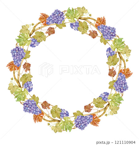 Watercolor wreath of grapevine with blue berries. Round frame of pink grapes and leaves. Autumn design for wedding decoration in rustic style. Label for red wine, juice. Clipart for restaurant menu. 121110904