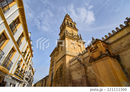 メスキータのアルミナ―ルの塔 メスキータのアルミナ―ルの塔 121111300