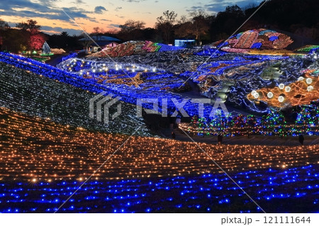 【香川県】冬の国営讃岐まんのう公園 (イルミネーション) 【香川県】冬の国営讃岐まんのう公園 (イルミネーション) 121111644