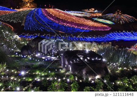 【香川県】冬の国営讃岐まんのう公園 (イルミネーション) 【香川県】冬の国営讃岐まんのう公園 (イルミネーション) 121111648