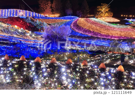 【香川県】冬の国営讃岐まんのう公園 (イルミネーション) 【香川県】冬の国営讃岐まんのう公園 (イルミネーション) 121111649