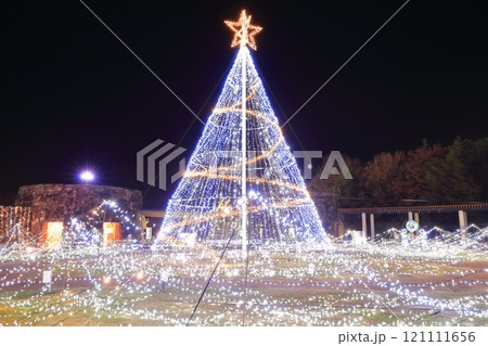 【香川県】冬の国営讃岐まんのう公園 (イルミネーション) 【香川県】冬の国営讃岐まんのう公園 (イルミネーション) 121111656