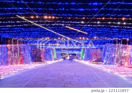 【香川県】冬の国営讃岐まんのう公園 (イルミネーション) 【香川県】冬の国営讃岐まんのう公園 (イルミネーション) 121111657