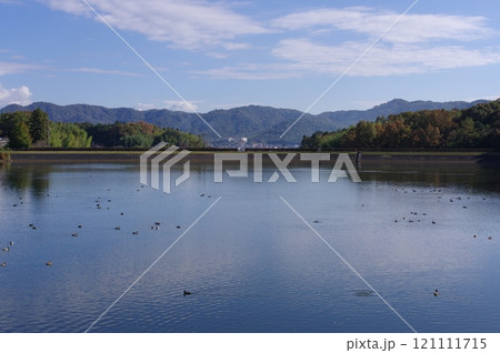 湖の景色 121111715