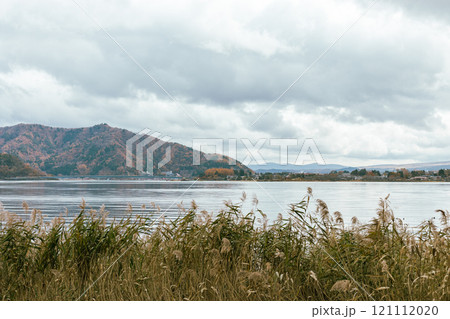Lake Kawaguchi in Oishi Park 121112020