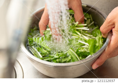 水菜を洗う男性の手元 121112037