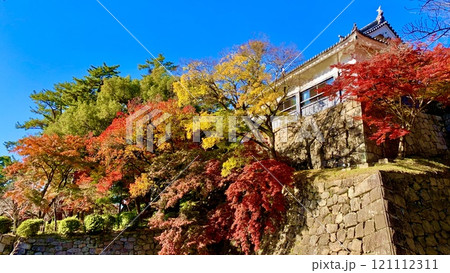 秋晴れの青空に映える辰巳櫓の紅葉・黄葉を見上げる〈岡崎城公園/愛知県岡崎市〉 秋晴れの青空に映える辰巳櫓の紅葉・黄葉を見上げる〈岡崎城公園/愛知県岡崎市〉 121112311