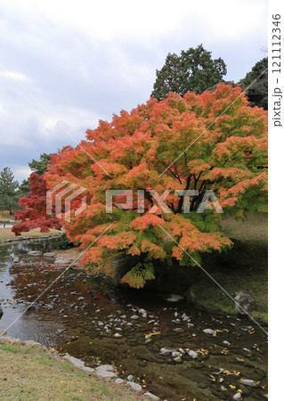 栗林公園の北庭の潺湲池付近の紅葉 121112346