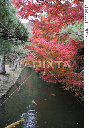 栗林公園の梅林橋から西湖の方向を見る 栗林公園の梅林橋から西湖の方向を見る 121112415