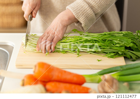 水菜を切る女性の手元 水菜を切る女性の手元 121112477