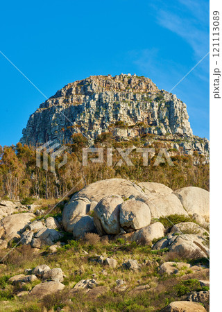 Lions Head. Panorama of Lions Head mountain in Cape Town, South Africa during summer holiday and vacation. Scenic landscape view of boulders and the top of a hill. Exploring nature and the wild. Lions Head. Panorama of Lions Head mountain in Cape Town, South Africa during summer holiday and vacation. Scenic landscape view of boulders and the top of a hill. Exploring nature and the wild. 121113089
