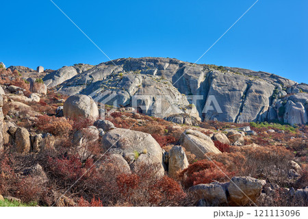 Landscape view of mountain with burned bushes and plants on Lions Head, Cape Town. The aftermath of a devastating wildfire in nature, rocky terrain showing survived trees in a forest with copy space Landscape view of mountain with burned bushes and plants on Lions Head, Cape Town. The aftermath of a devastating wildfire in nature, rocky terrain showing survived trees in a forest with copy space 121113096