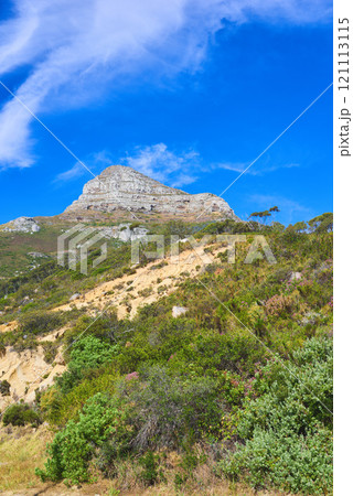 Landscape view of Lions Head mountain in Cape Town, South Africa. Blue sky, clouds over famous hiking, trekking terrain with lush growing plants in remote area. Travel and tourism abroad and overseas Landscape view of Lions Head mountain in Cape Town, South Africa. Blue sky, clouds over famous hiking, trekking terrain with lush growing plants in remote area. Travel and tourism abroad and overseas 121113115