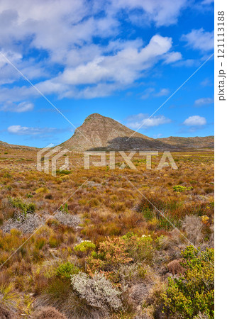 The wilderness of Cape Point National Park. Copy space with the scenery of Lions Head at Table Mountain National Park in Cape Town against a cloudy blue sky background. A scenic view. 121113188