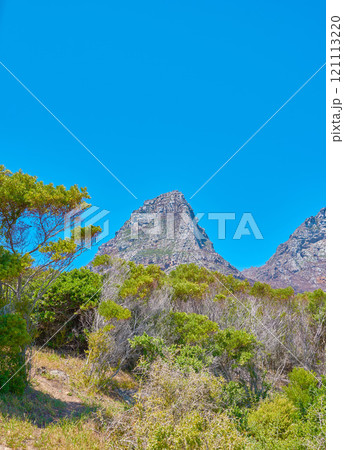Scenic mountain landscape view with blue sky with copy space of Twelve Apostles in Cape Town, South Africa. Famous steep hiking, trekking terrain with growing trees and bushes. Travel and tourism 121113220
