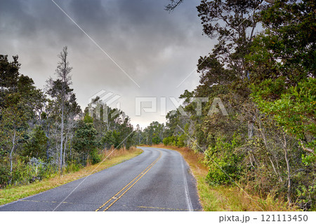 A road through a forest in Hawaii, USA with a cloudy sky background and copyspace. Scenic views of a woodland landscape on a cold winters day. Tall trees growing next to ecological life A road through a forest in Hawaii, USA with a cloudy sky background and copyspace. Scenic views of a woodland landscape on a cold winters day. Tall trees growing next to ecological life 121113450