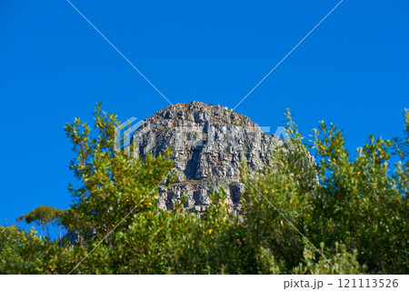 Panorama of Lions Head in Table Mountain National Park, Cape Town, South Africa with copy space. Beautiful landscape view of a peak in a blue sky on a summer day with lush green plants or trees 121113526