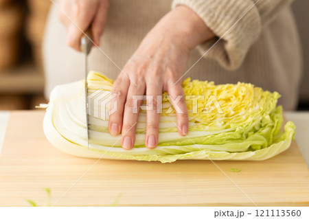 白菜を切る女性の手元 121113560