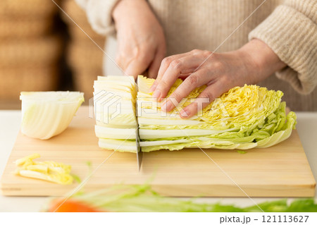 白菜を切る女性の手元 白菜を切る女性の手元 121113627