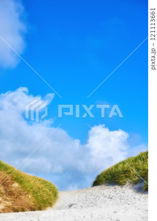 Landscape of sand dunes under cloudy blue sky copy space on the west coast of Jutland in Loekken, Denmark. Closeup of tufts of green grass growing on an empty beach during a summer day 121113661