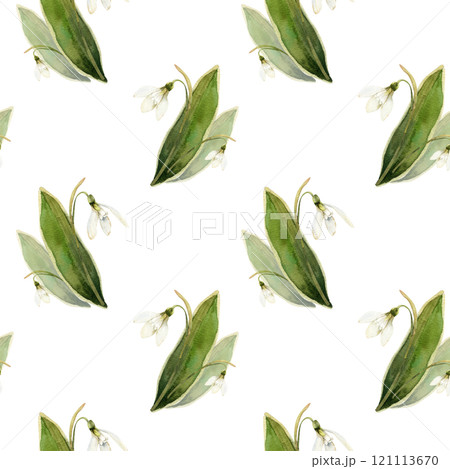 Spring flowers seamless pattern with watercolor white snowdrops bouquets. Hand drawn floral background with first spring buds for women's day card, packing design, natural cosmetics label, logo Spring flowers seamless pattern with watercolor white snowdrops bouquets. Hand drawn floral background with first spring buds for women's day card, packing design, natural cosmetics label, logo 121113670