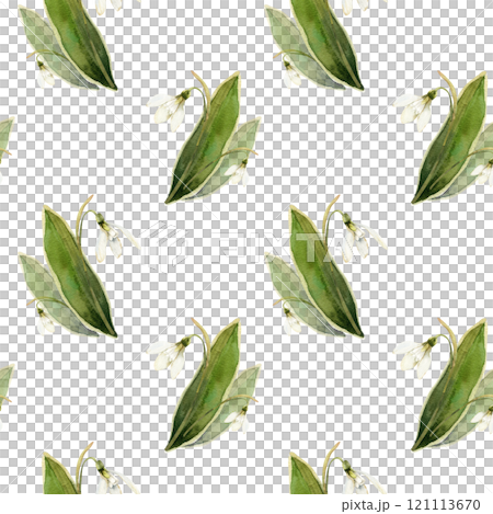 Spring flowers seamless pattern with watercolor white snowdrops bouquets. Hand drawn floral background with first spring buds for women's day card, packing design, natural cosmetics label, logo Spring flowers seamless pattern with watercolor white snowdrops bouquets. Hand drawn floral background with first spring buds for women's day card, packing design, natural cosmetics label, logo 121113670