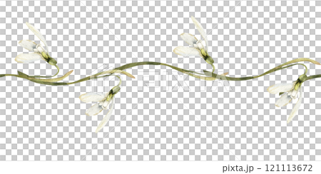 Spring time floral seamless border with white petal snowdrops. Hand drawn floral banner with first flowers for home textile, fabric design, web and invitation festive decor. Spring time floral seamless border with white petal snowdrops. Hand drawn floral banner with first flowers for home textile, fabric design, web and invitation festive decor. 121113672