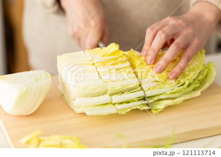 白菜を切る女性の手元 121113714