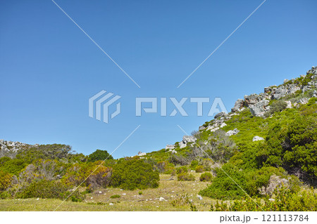 Landscape view of nature in Cape Town, South Africa during summer holiday and vacation. Scenic hills and scenery of fresh green flora growing in remote area. Exploring nature and the wild Landscape view of nature in Cape Town, South Africa during summer holiday and vacation. Scenic hills and scenery of fresh green flora growing in remote area. Exploring nature and the wild 121113784