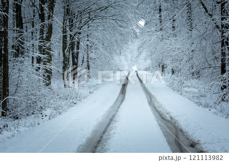 Snowy road in the forest Snowy road in the forest 121113982