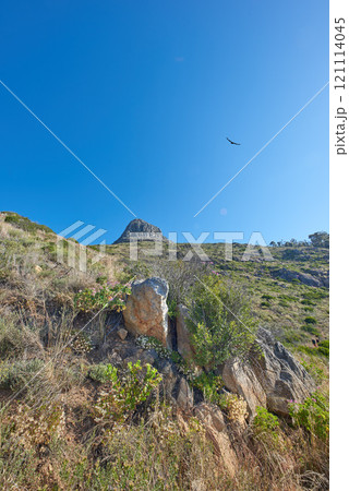 Landscape of a mountain in Cape Town, South Africa against a blue horizon. Rocky mountainous area with greenery on a sunny day. Lions Head is a popular travel destination and attraction for hiking 121114045