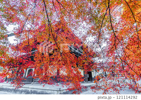 秋の南禅寺 秋の南禅寺 121114292