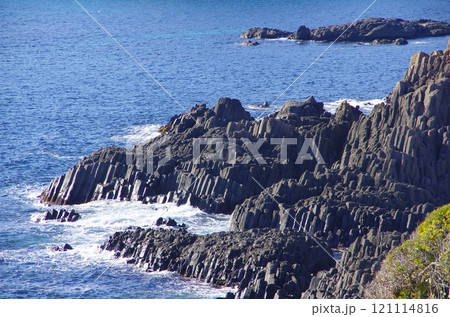 伊豆・爪木崎海岸 121114816