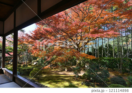 京都市大原 宝泉院の赤く染まったモミジ 121114898