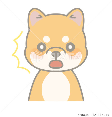 びっくりしている柴犬のイラスト びっくりしている柴犬のイラスト 121114955