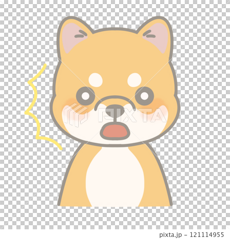 びっくりしている柴犬のイラスト びっくりしている柴犬のイラスト 121114955