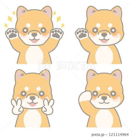 かわいい柴犬の色んなポーズのイラストセット 121114964