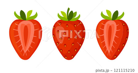 Strawberry, fresh bright halved and whole berries flat style isolated 121115210