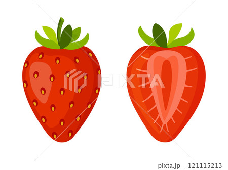 Strawberry, fresh bright halved and whole berries flat style isolated 121115213