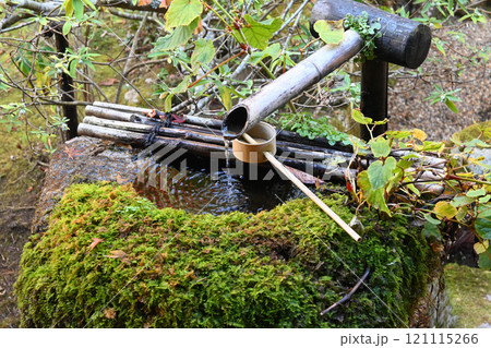 京都市大原の里 宝泉院盤桓園の苔むした蹲 121115266