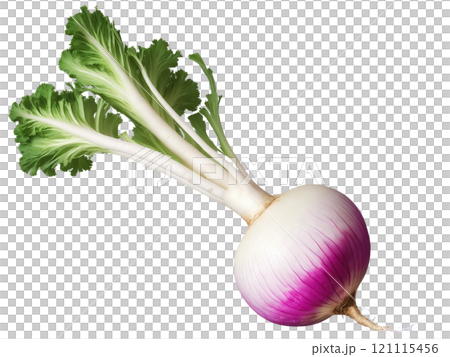 Turnip Chunk of turnip falling into a pale purple splash of turnip juice, soft and earthy. Turnip Chunk of turnip falling into a pale purple splash of turnip juice, soft and earthy. 121115456