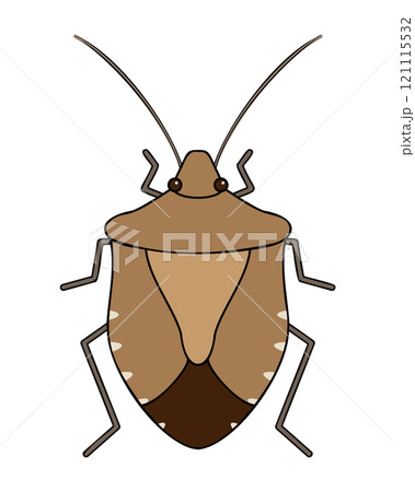 茶色いカメムシのイラスト 121115532