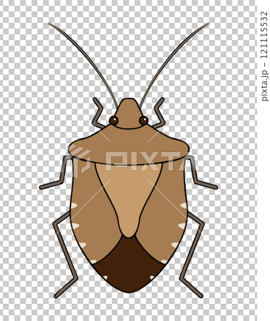 茶色いカメムシのイラスト 121115532