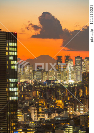 東京新宿の超高層ビル群、後方に富士山　夕景 121116025