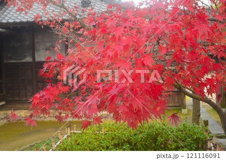 【紅葉の古民家】 121116091
