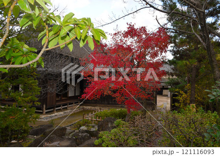 【紅葉の古民家】 121116093